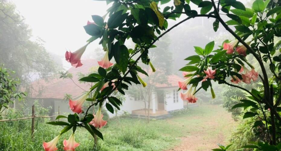 Chocolate Villa, Wayanad 4