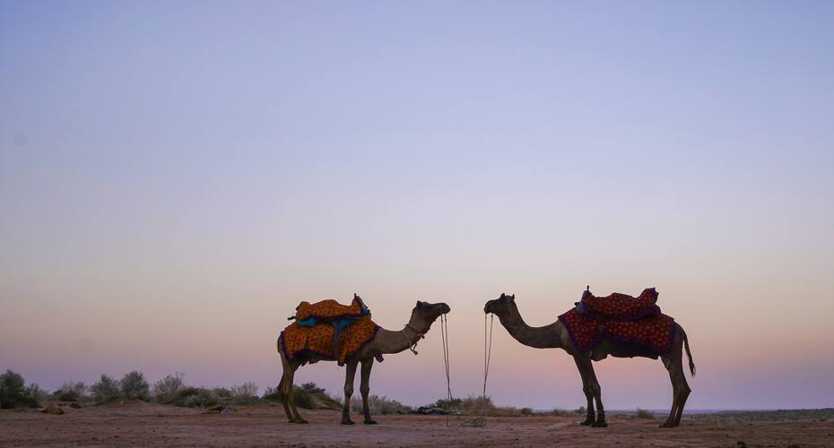 Treebo Trend Desert Boutique Resort, Jaisalmer 2