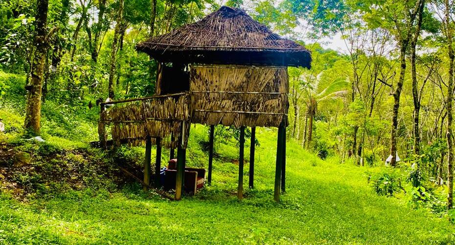 Robin Hills Resort, Wayanad 5