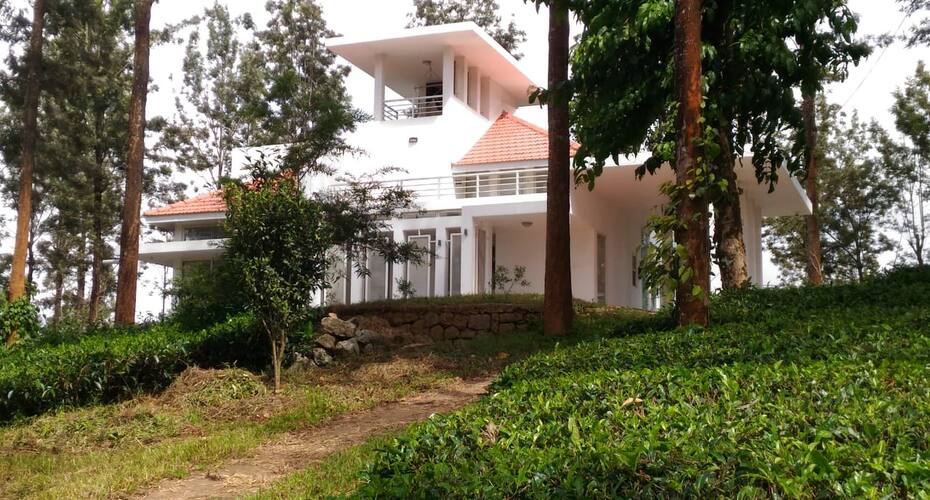 Green Tea Estate House, Munnar 4