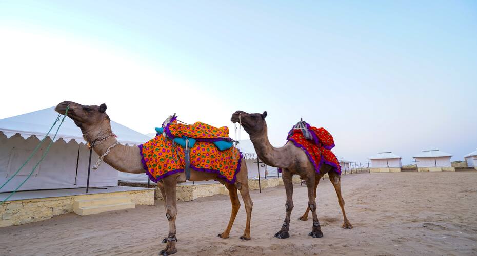 Treebo Trend Desert Boutique Resort, Jaisalmer 4