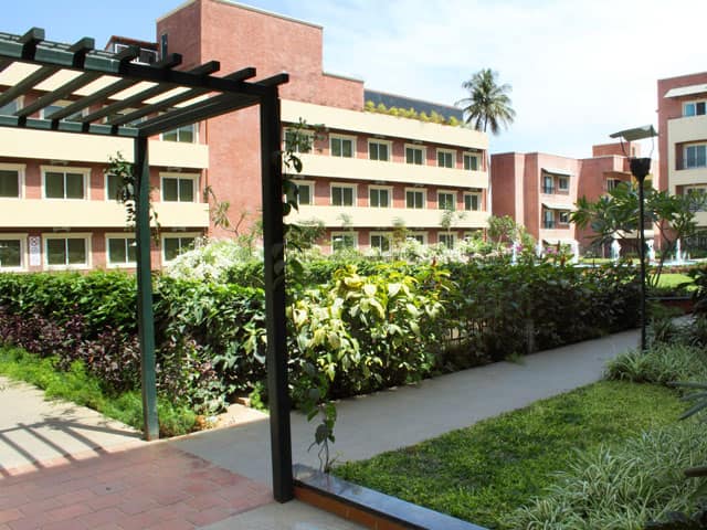 Transtree @ Whitefield, Bangalore 2