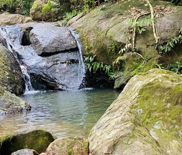 Coffee Valley Resort, Vagamon 2