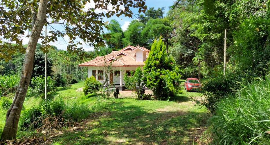 Spice Field Cottage, Wayanad 3