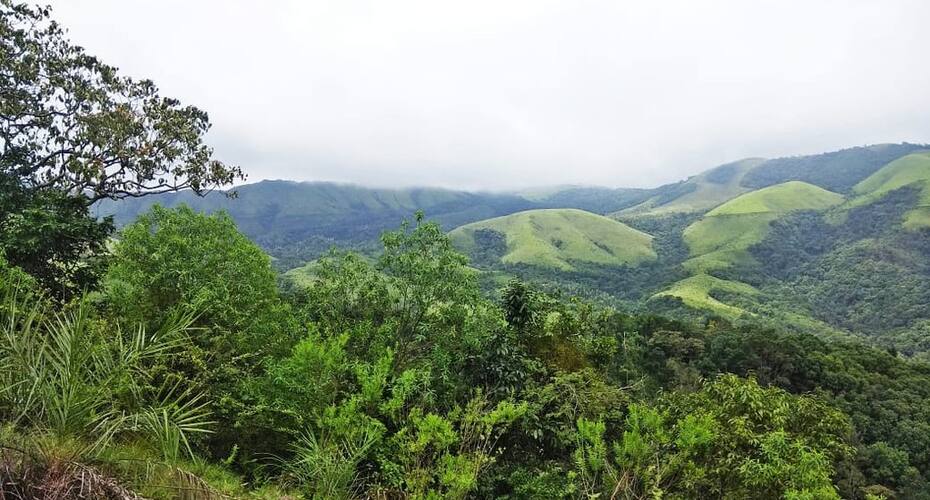 Nature View Cottages, Chikmaglur 3
