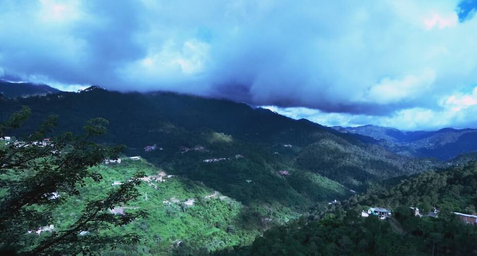 Cedarwood Kasauli, Kasauli 1