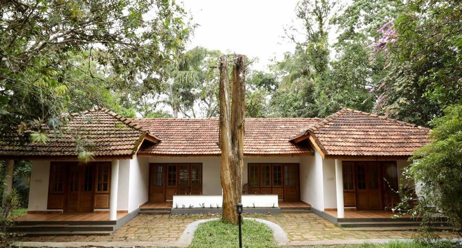 Bougainville, Wayanad 1