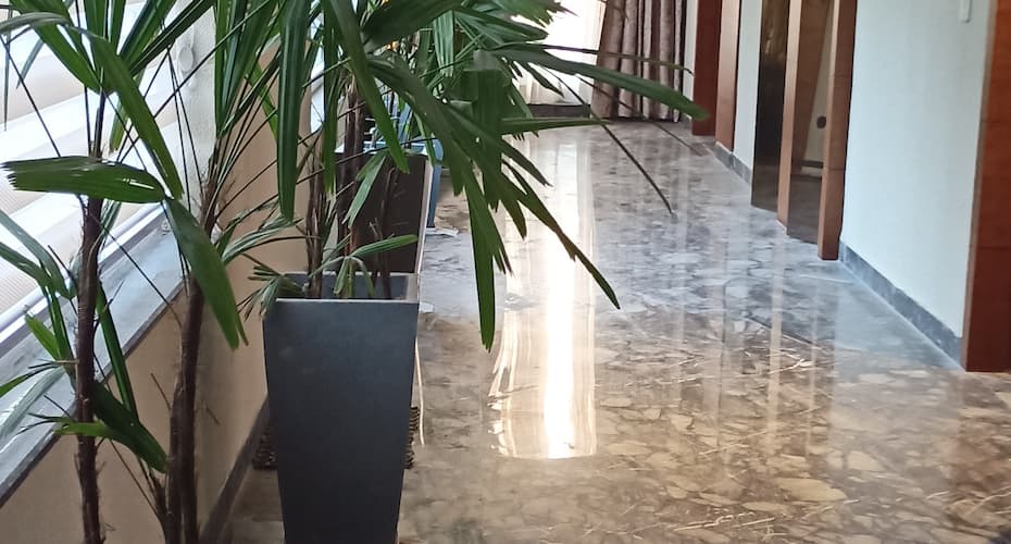 Jay Clarks Exotica, Nahan, Rajgarh - Sirmaur 4