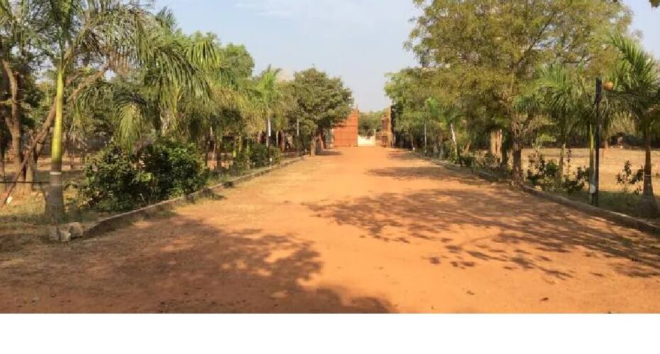 The Grand Blossoms Resort, Chennai 2