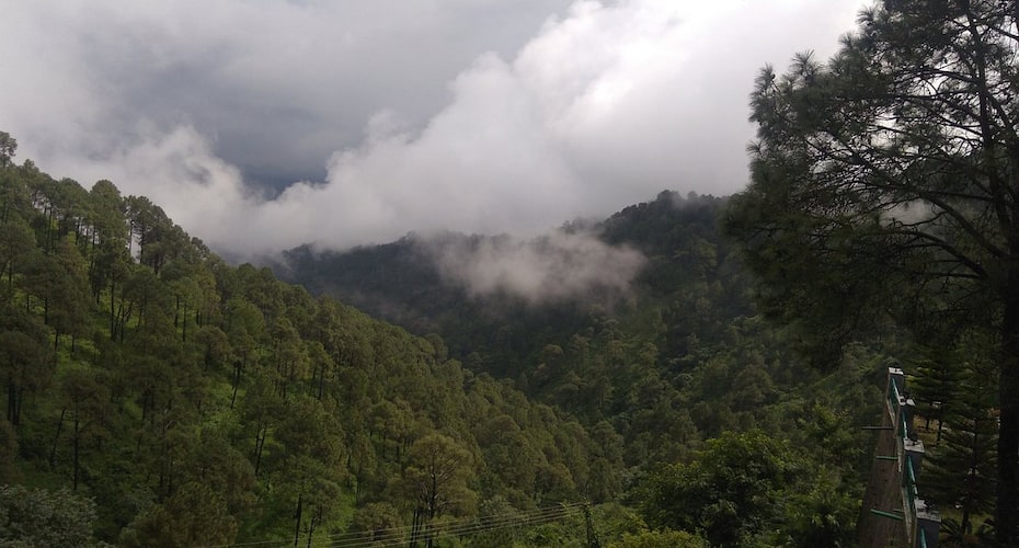 Forest Ville Hotel & Resort, Kasauli 5