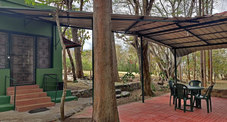 Bamboo Banks Farm & Guest House, Masinagudi 3