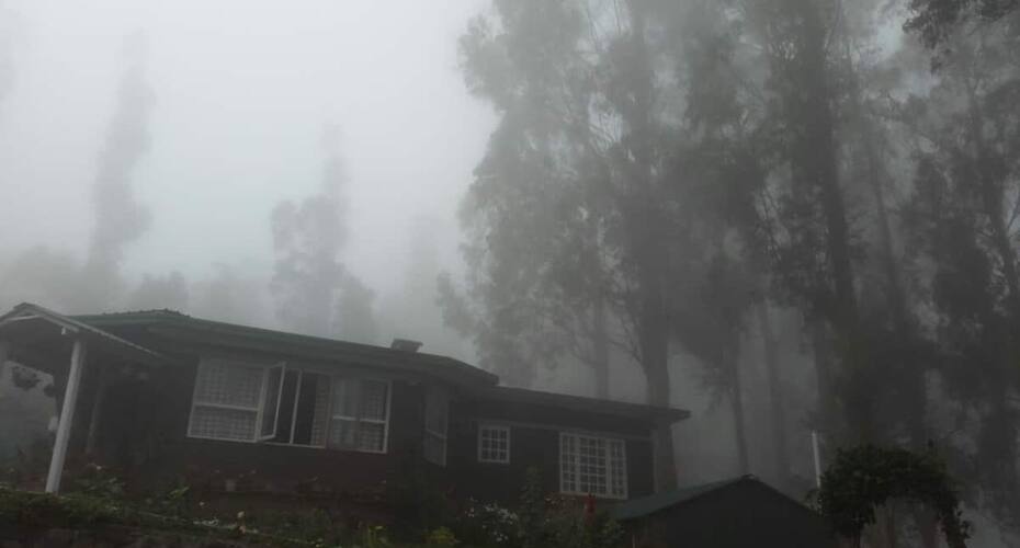 Jacaranda Villa, Kodaikanal 4