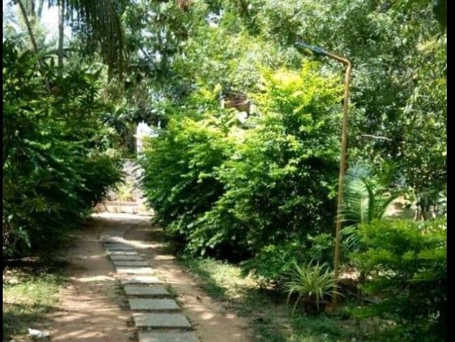 Aashikha Farm House, Pondicherry 2