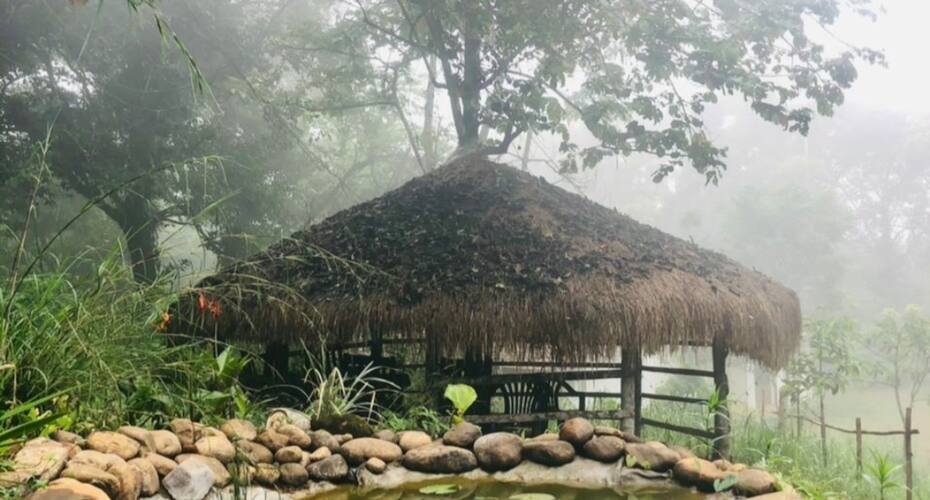 Chocolate Villa, Wayanad 3