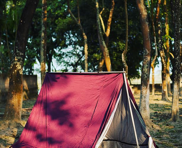 Arya Eco Resort, Guwahati 4