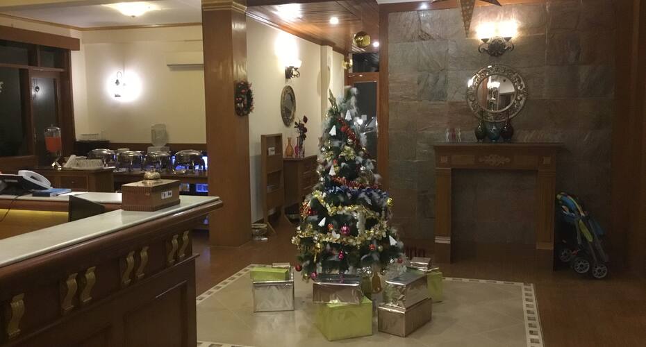 Forest Ville Hotel & Resort, Kasauli 2