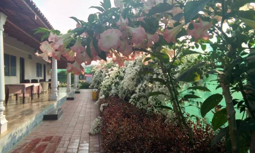 Bougain villea Home Stay, Chikmaglur 5