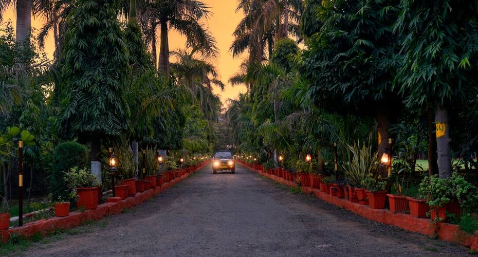 Abrar Palace Wildlife Resort, Ranthambore 2