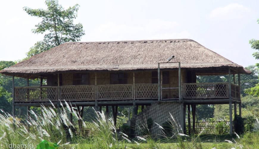 Dhansiri Eco Camp, Bokakhat 5