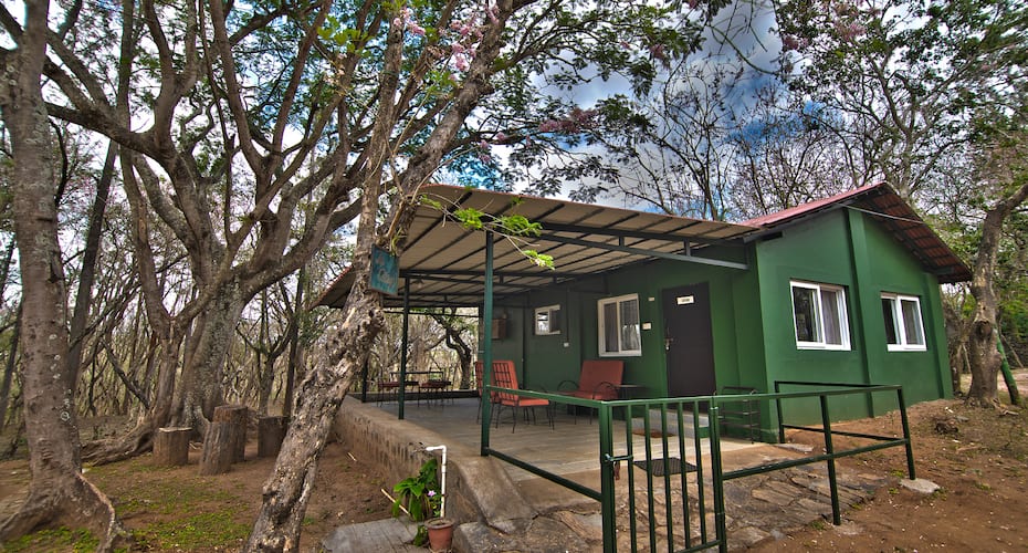 Bamboo Banks Farm & Guest House, Masinagudi 2