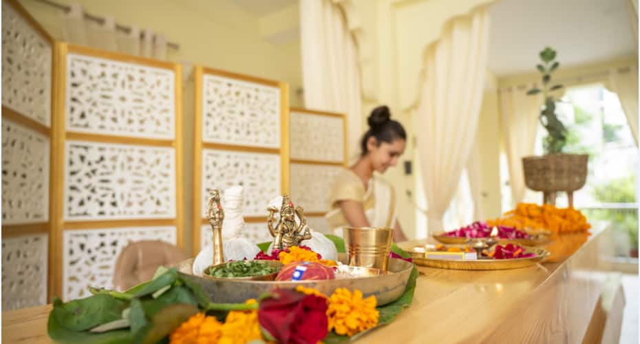 Maharishi Ayurveda-Boutique Wellness Retreat, Rishikesh 5