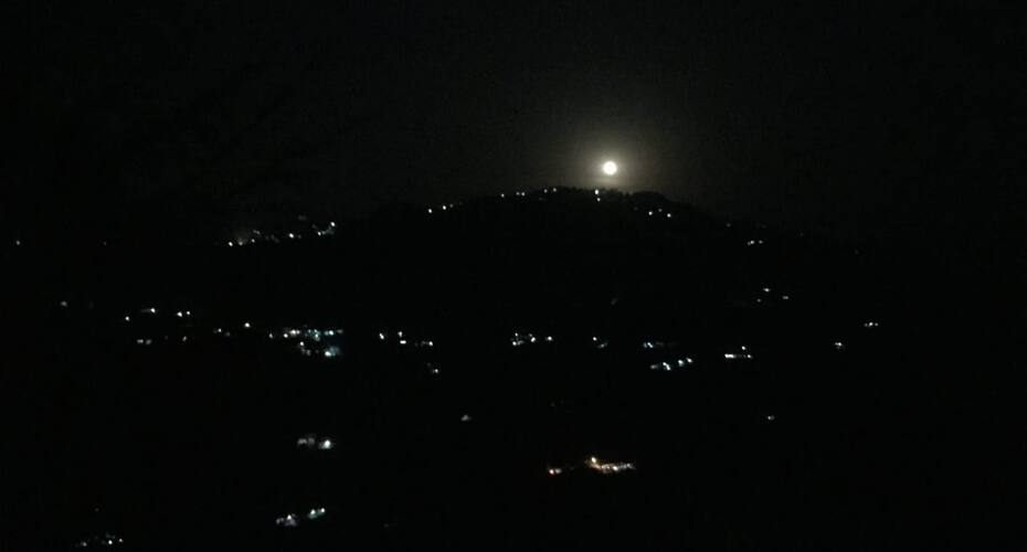 Cedarwood Kasauli, Kasauli 5