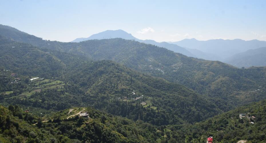 Moksh hotel, Shimla 4