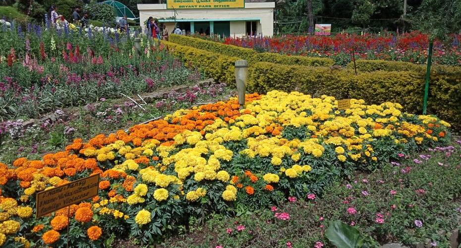 Happy Valley Cottage, Kodaikanal 4