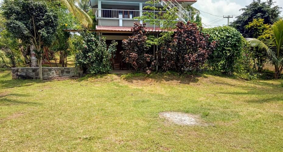 Green Field Cottage, Masinagudi 5