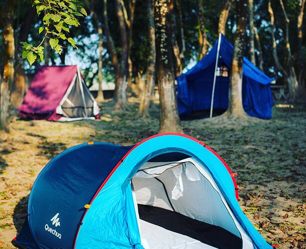 Arya Eco Resort, Guwahati 5