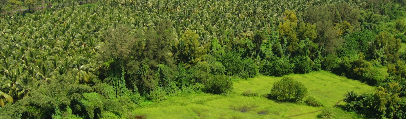 Ratnagiri Tour Packages Book Ratnagiri Holiday Package At Best Price Build your own ratnagiri vacation travel package & book your ratnagiri trip now. ratnagiri tour packages book ratnagiri