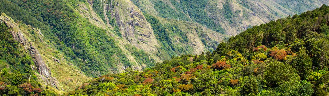 Kodaikanal Tour Packages Book Kodaikanal Packages At Best Price In 2021 Search the best kodaikanal vacation deals & save more when you book your flight + hotel together. kodaikanal tour packages book