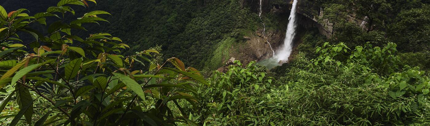 Cherrapunji Adventure Tours Best Adventure In Cherrapunji Yatra Com