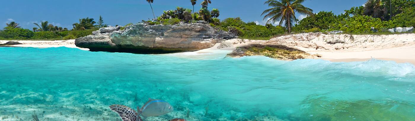 Mexico Tour Packages Book Mexico Holiday Package At Best Price Upto 
