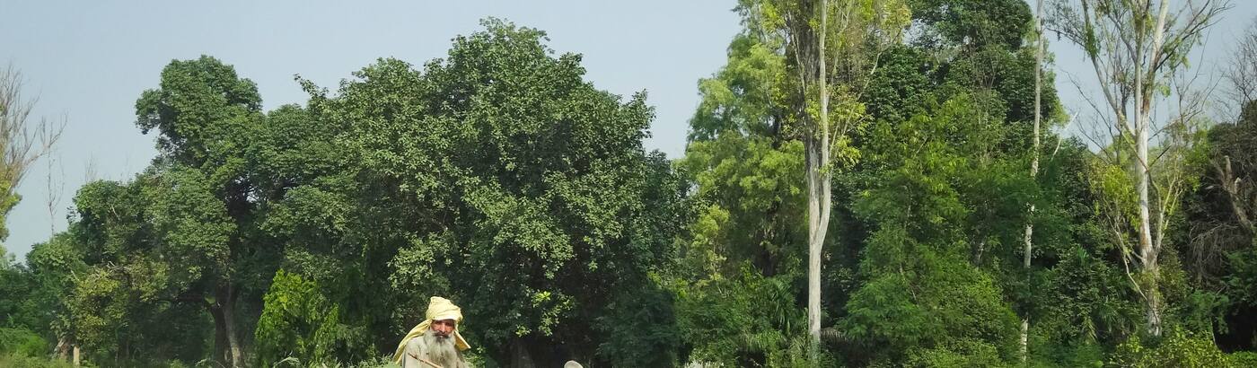 Ludhiana Tour Packages Book Ludhiana Holiday Package At Best Price World ride travel is a passionate team of the carefully chosen tour and travel specialists with an immense experience based in ludhiana, india.