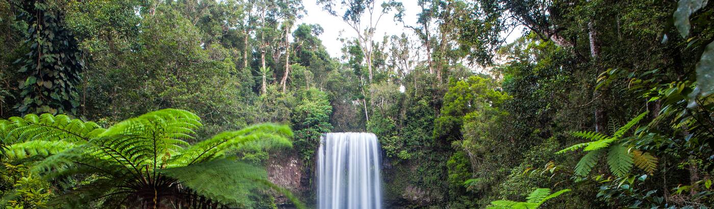 Cairns Tour Packages Book Cairns Holiday Package At Best Price