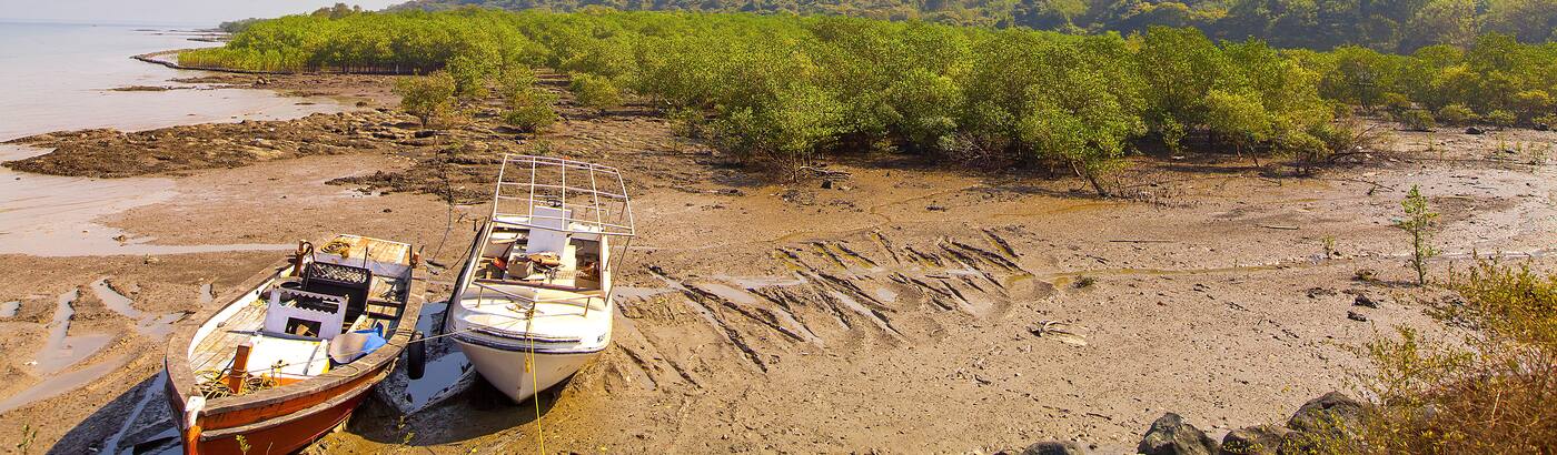 Shrivardhan Tour Packages Book Shrivardhan Holiday Package At Best Price How to reach harihareshwar, flights, buses and taxi to. shrivardhan tour packages book