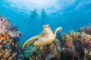 Australia Tour Packages Book Australia Packages At Best Price From India