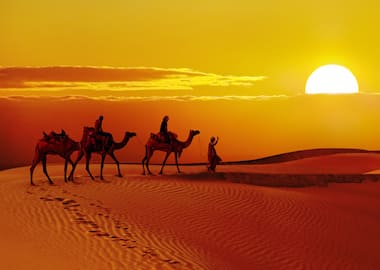 Royal Rajasthan Desert Expedition