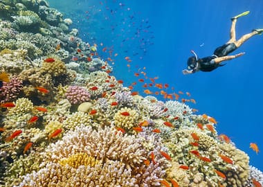 Fascinating Andaman With Photoshoot & Glass Bottom Ride