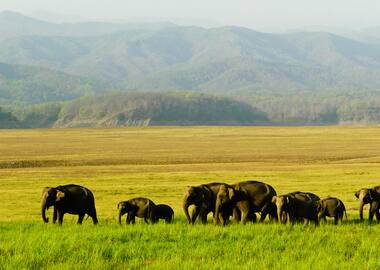 Nainital River Rafting Tours Best River Rafting In Nainital Yatra Com Nainital tours package being the pioneer tour operator in himalayas for individuals & groups. nainital river rafting tours best