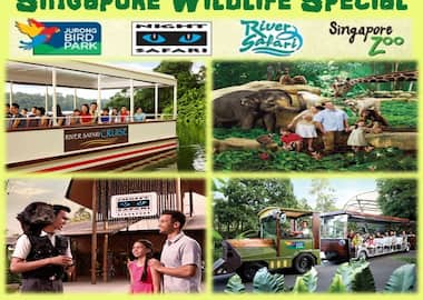 5 Nights Family Special Singapore Package