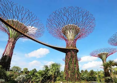 Wonders Of Singapore - Land Only