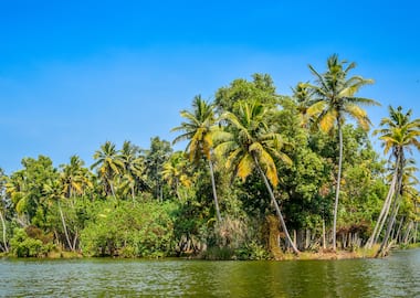 Relaxing Kerala ( Premium)