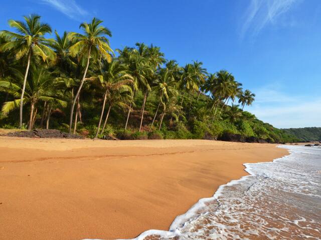 Book South Goa Sightseeing Gokarna Tour Tour Packages Goa Sightseeing Yatra Com The airfare would depend on the date, time of departure and the airlines. south goa sightseeing gokarna tour