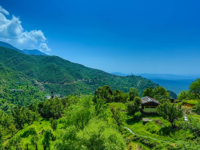 Book Short Trip To Dharamshala Weekend Getaway Ex Chandigarh Tour Packages Dharamshala Sightseeing Yatra Com פגוש, פלרטט, הזמן בנות לדייטים mandi gobindgarh, פנג'אב. book short trip to dharamshala weekend