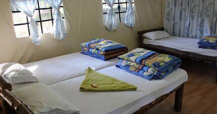 Book 3 Star Hotels In Dandeli 2906 Night