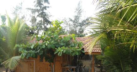 25 Hotels In Agonda Goa Room 1299 Night 25 Hotels In Agonda Goa Room 1299 Night