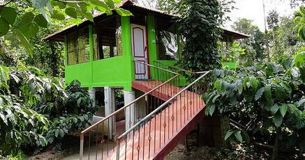 Homestays In Sangameshwarpet Chikmagalur Room Night