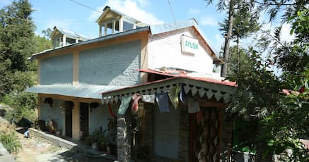 163 Hotels In Binsar Price Start 999 Ayush Cottages By Opensky